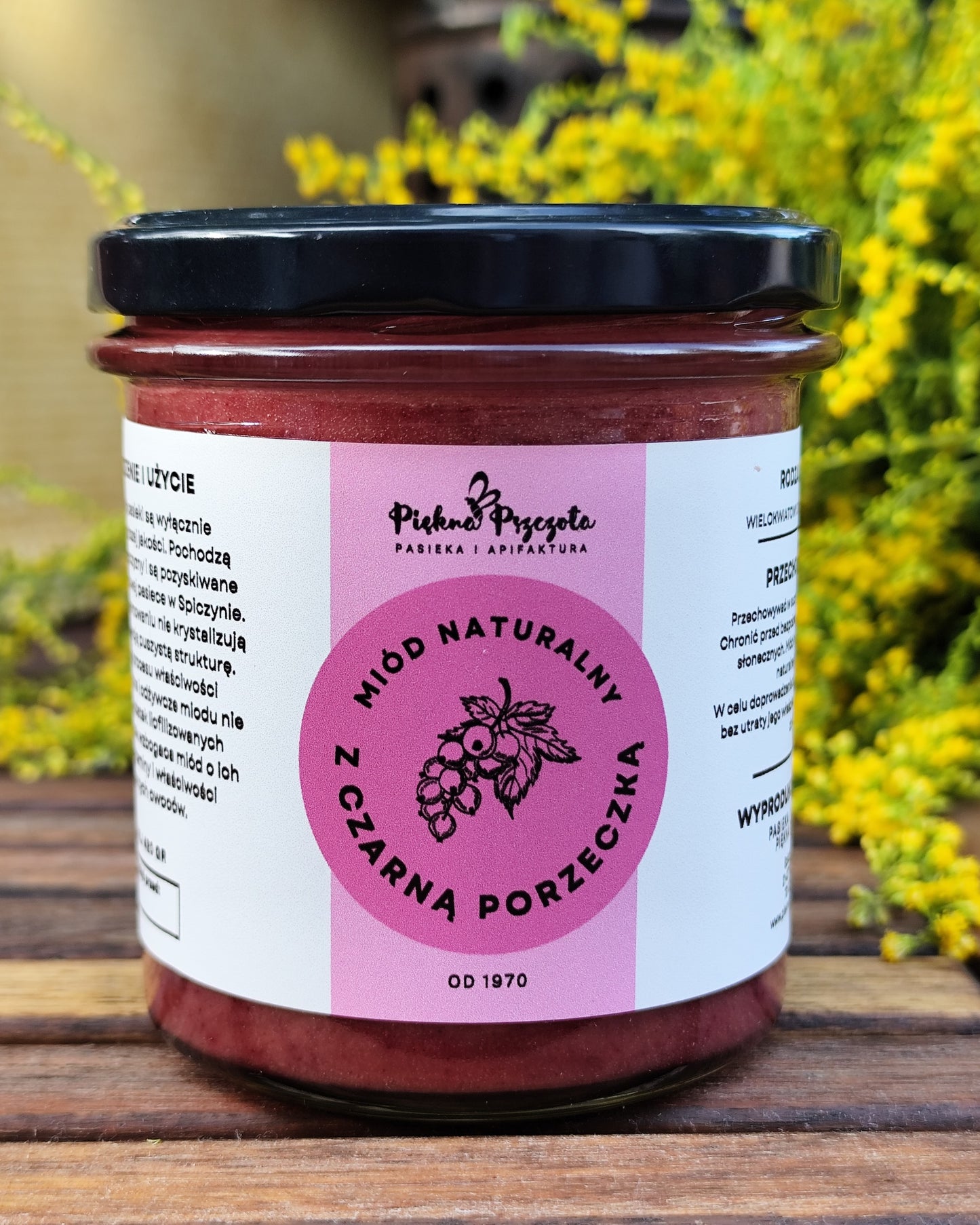 Miód z czarną porzeczką